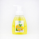 Simply Home Soaps Simply Home Foaming Soaps