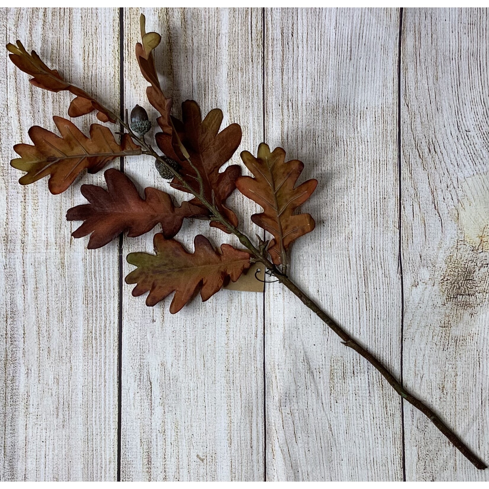 Creative Co-op Oak Leaf Spray