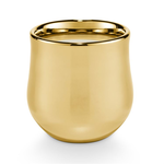 Illume Illume Rustic Pumpkin Gilded Ceramic