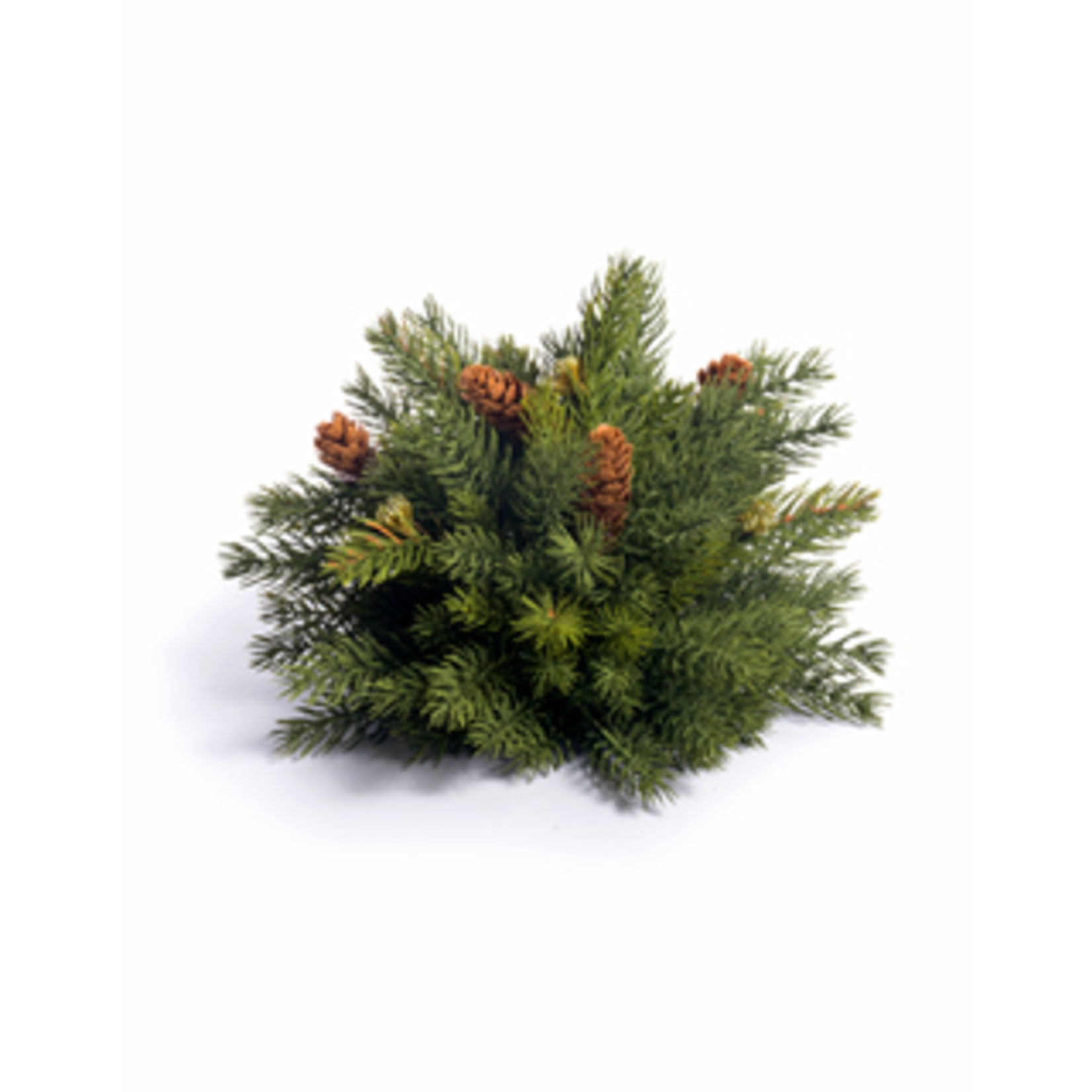 CRI Spruce Half Orb, 7”