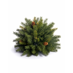 CRI Spruce Half Orb, 8”