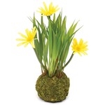 Meravic Mini Daisy w/ Faux Moss