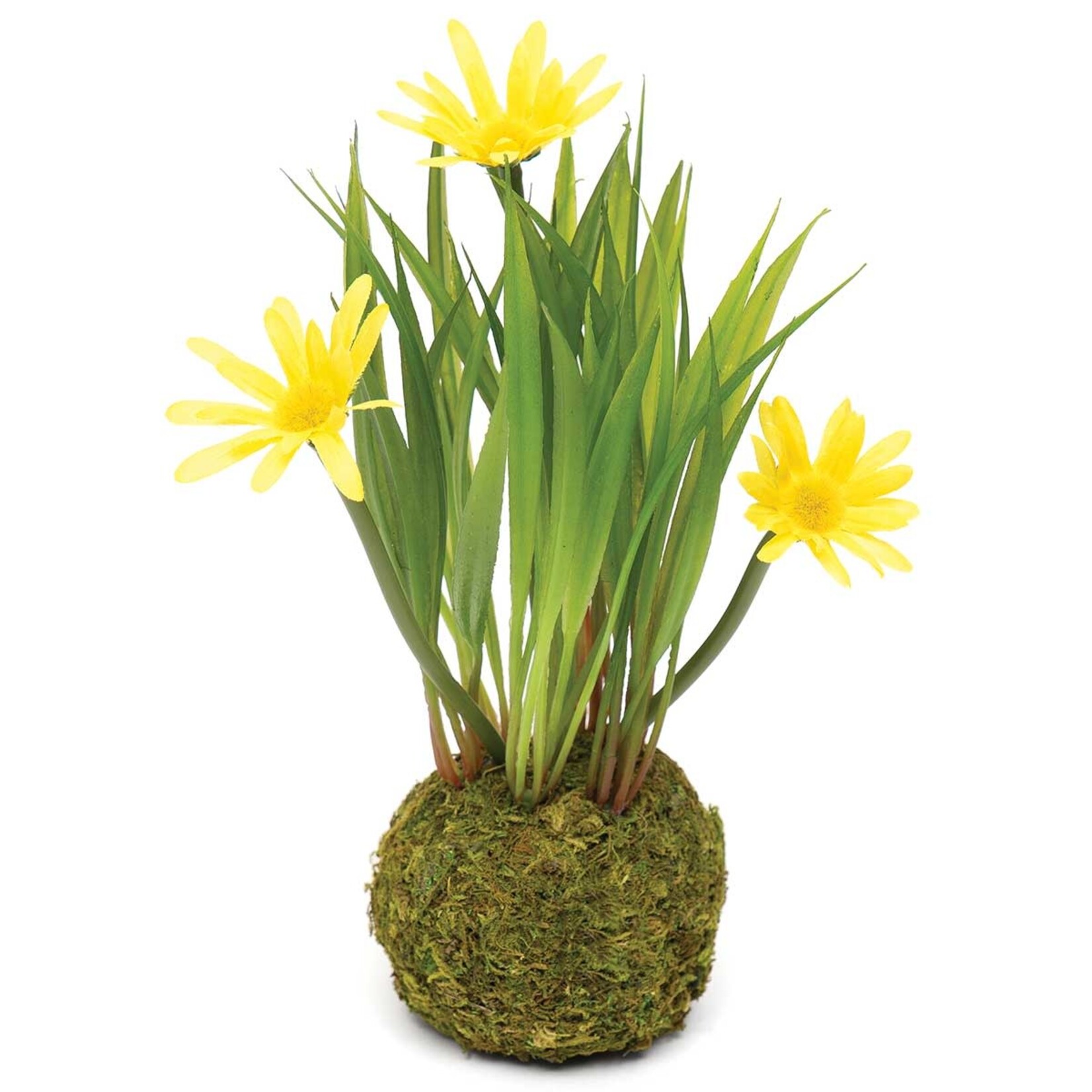 Meravic Mini Daisy w/ Faux Moss
