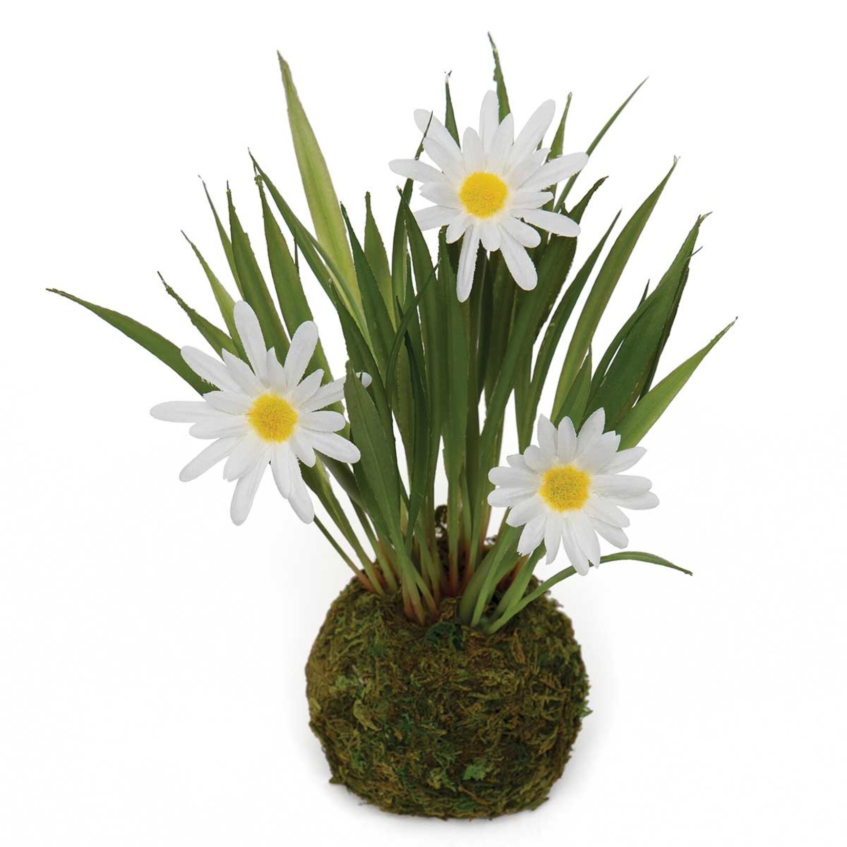 Meravic Mini Daisy w/ Faux Moss