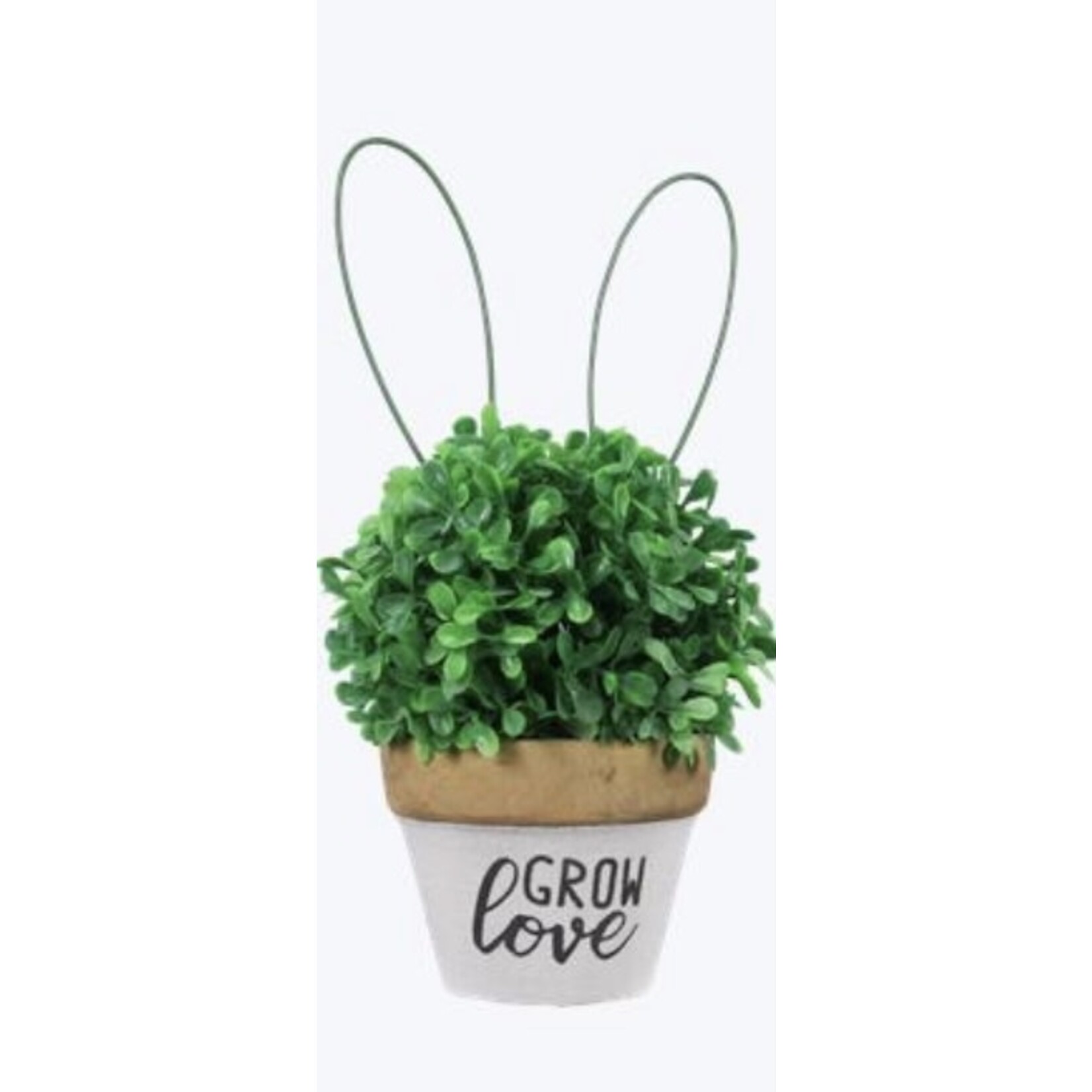 Youngs Artificial Plant w/Bunny Ears