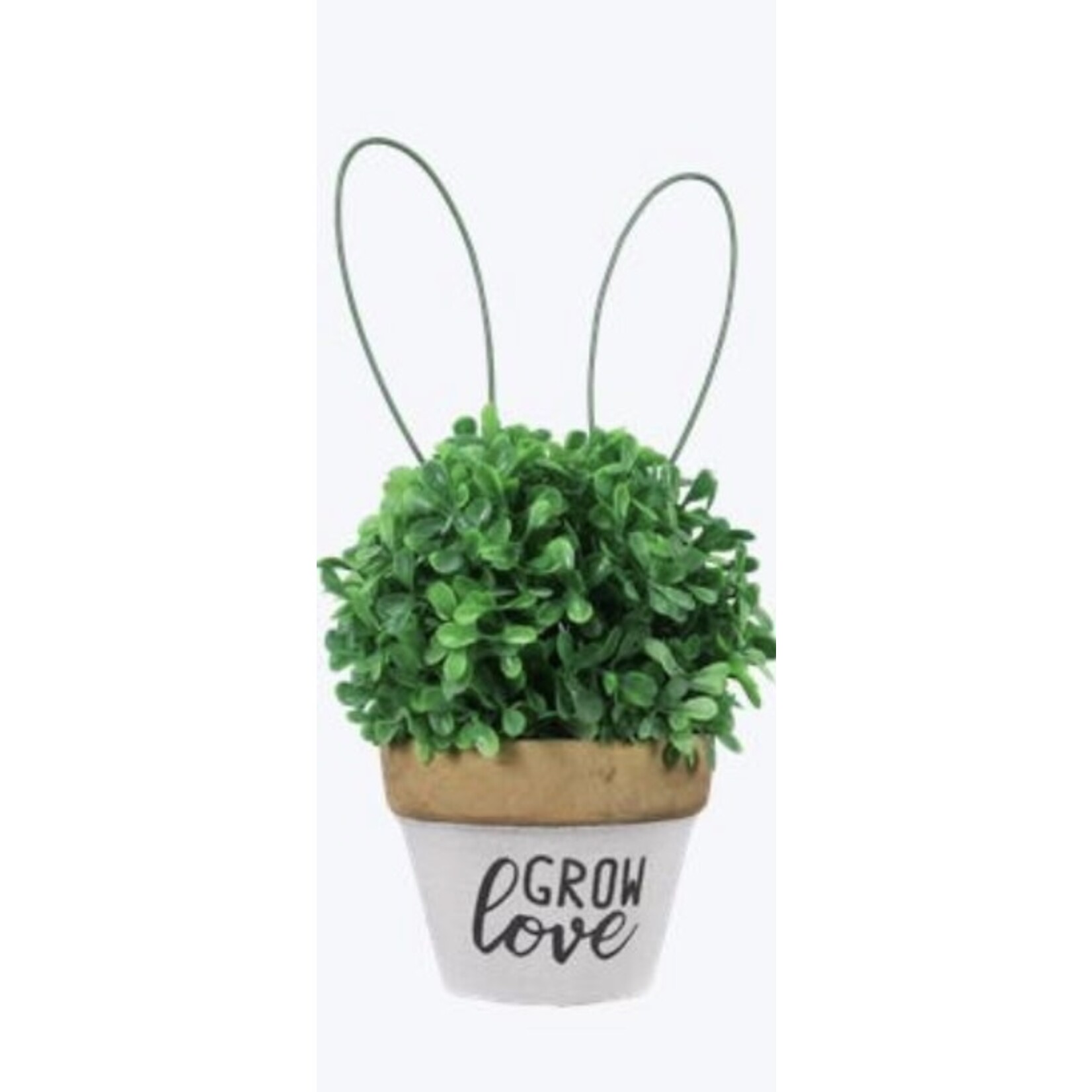 Youngs Artificial Plant w/Bunny Ears