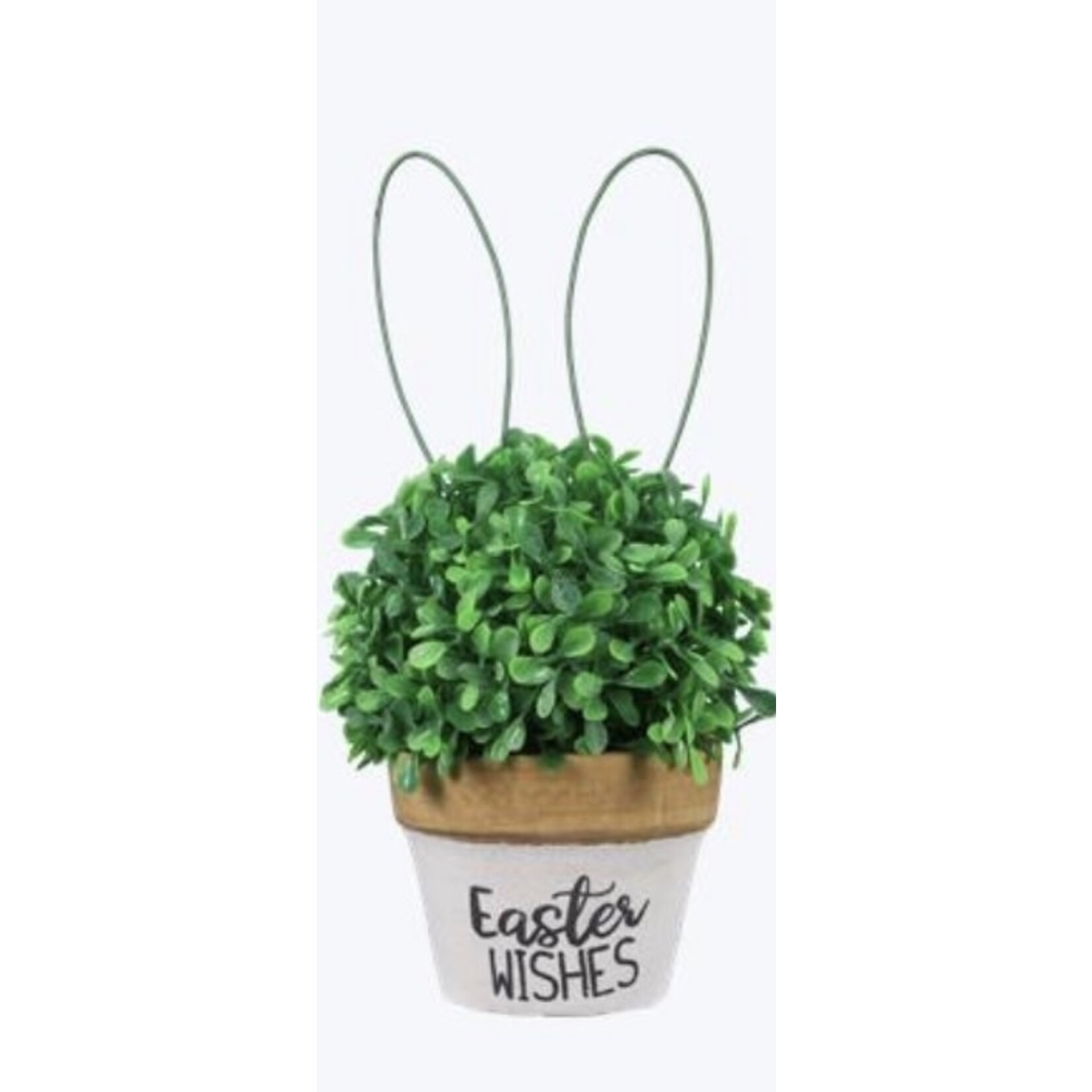 Youngs Artificial Plant w/Bunny Ears