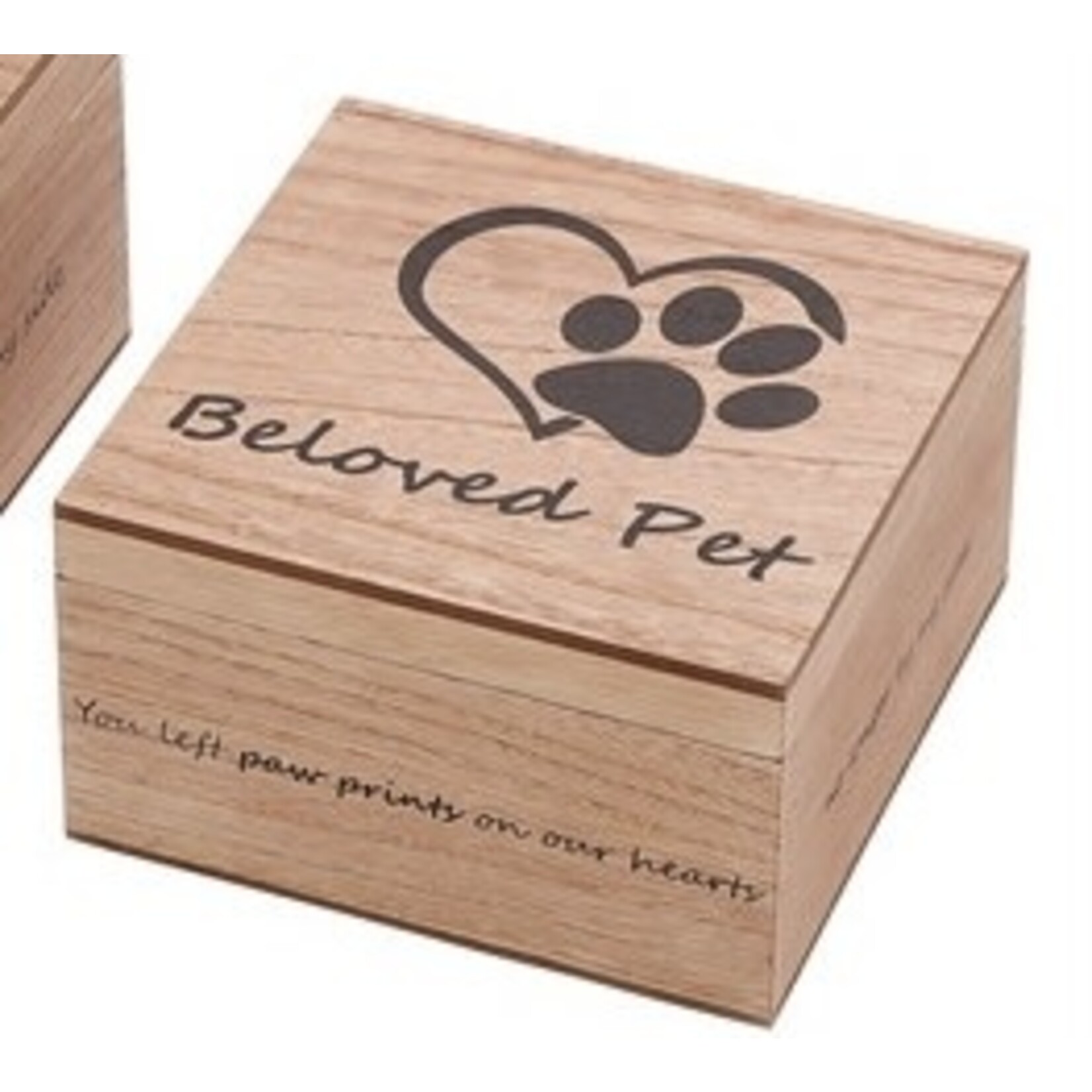 Special T Imports Beloved Pet Memory Box