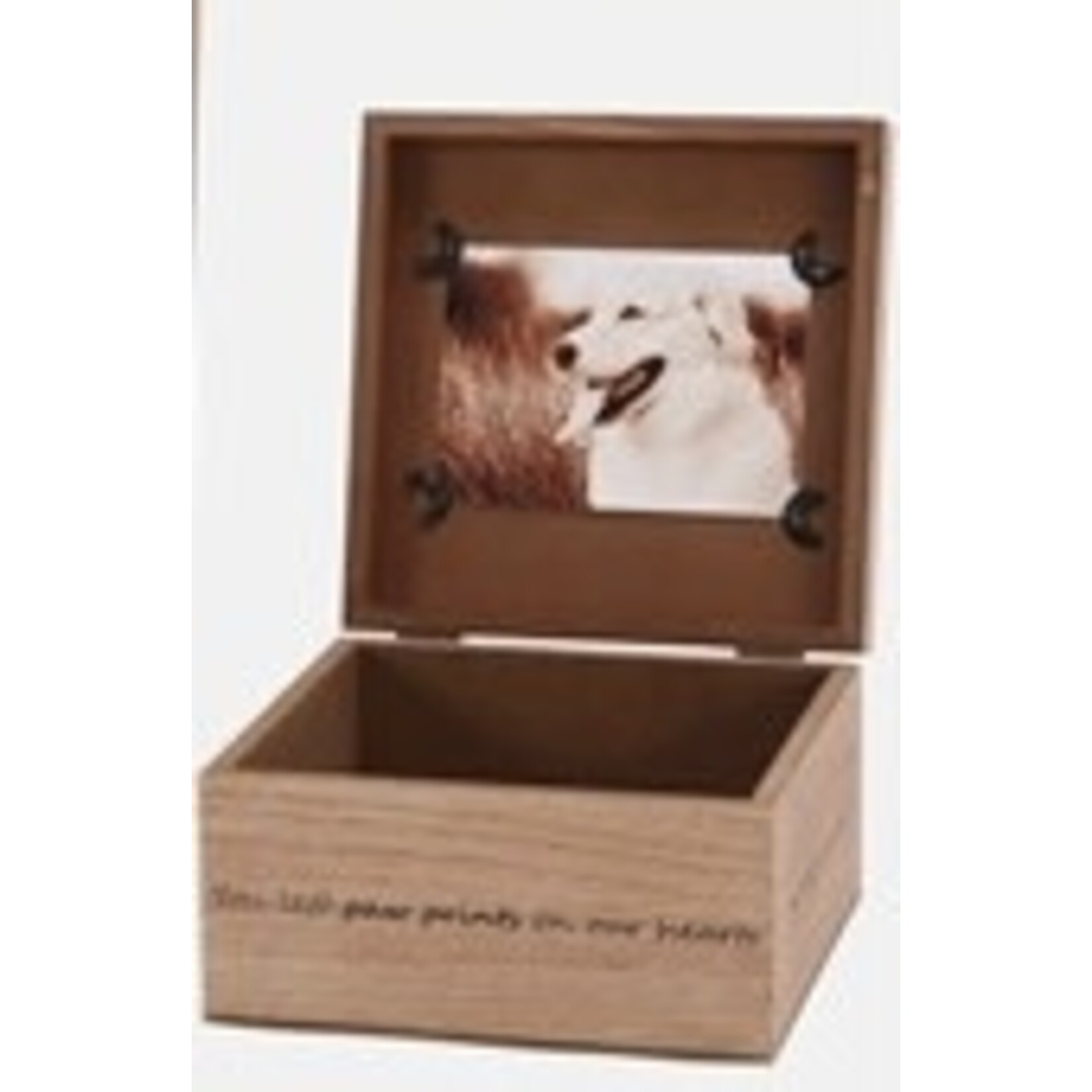 Special T Imports Beloved Pet Memory Box