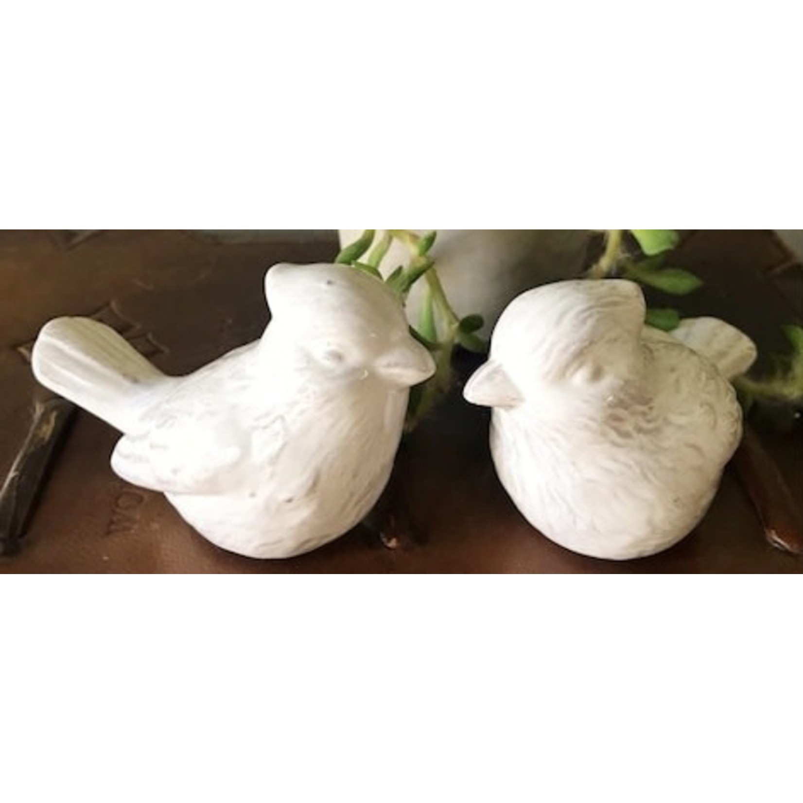 Transpac White Cardinal Salt & Pepper Shaker Set