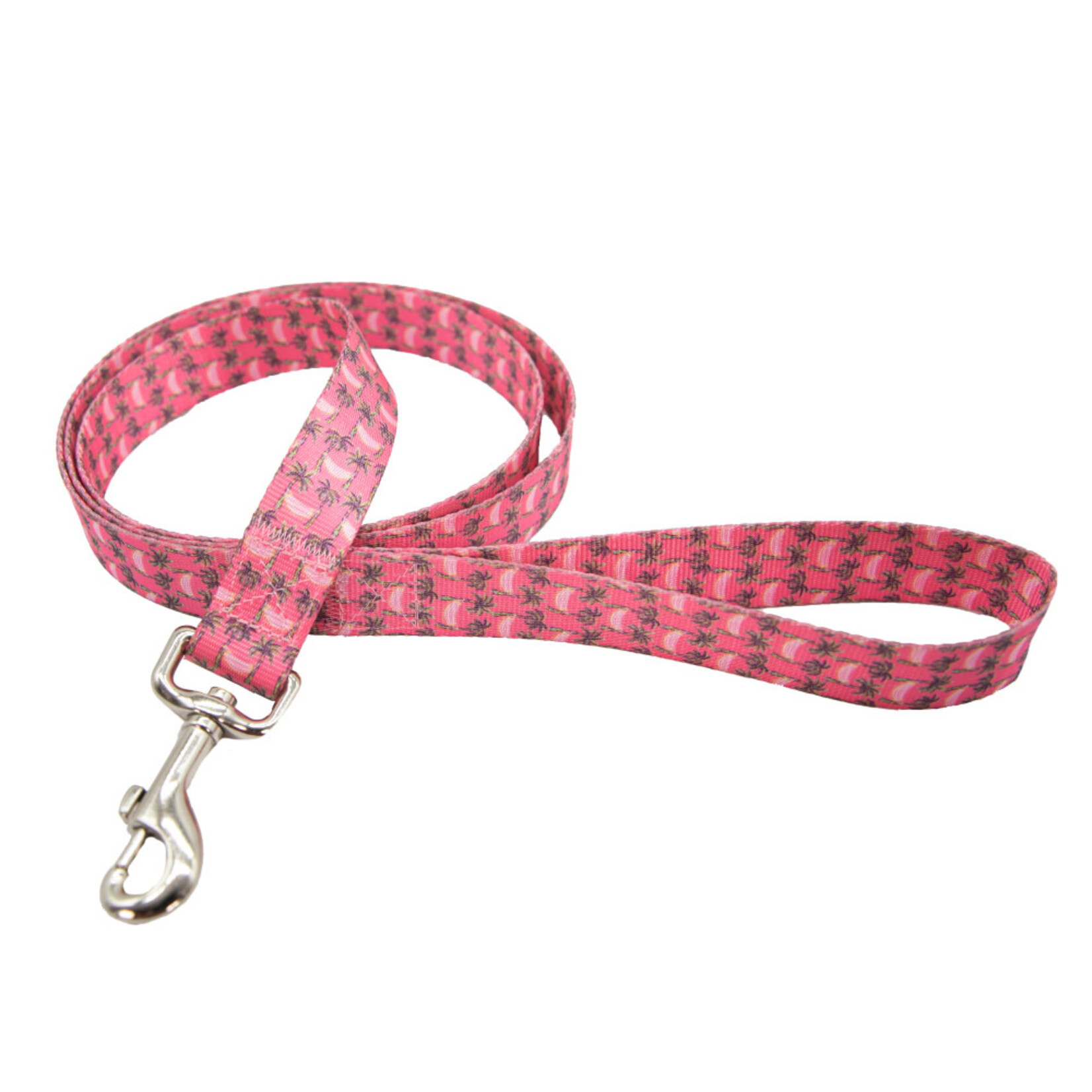 Simply Southern SS Dog Leash