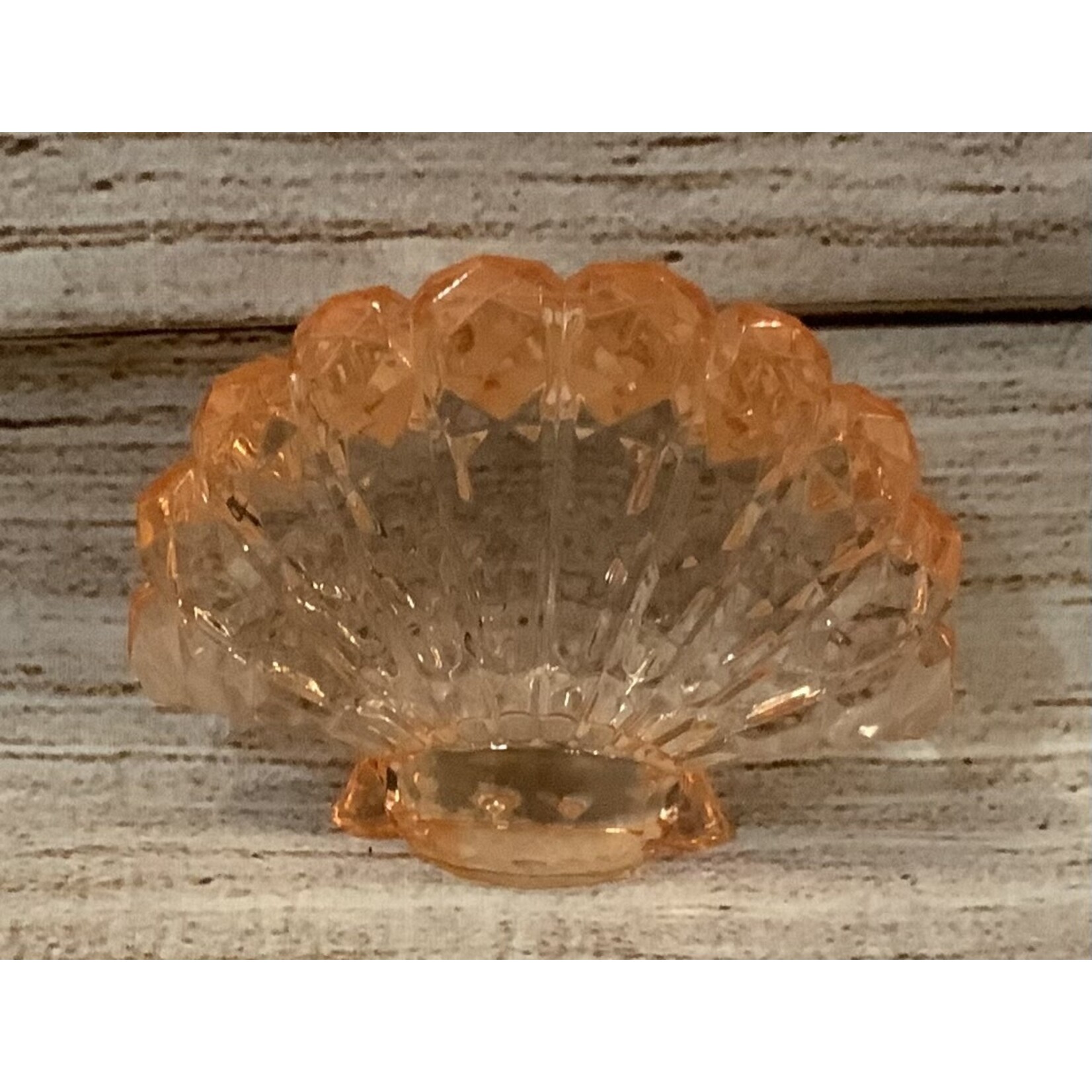 Ganz Acrylic Seashell