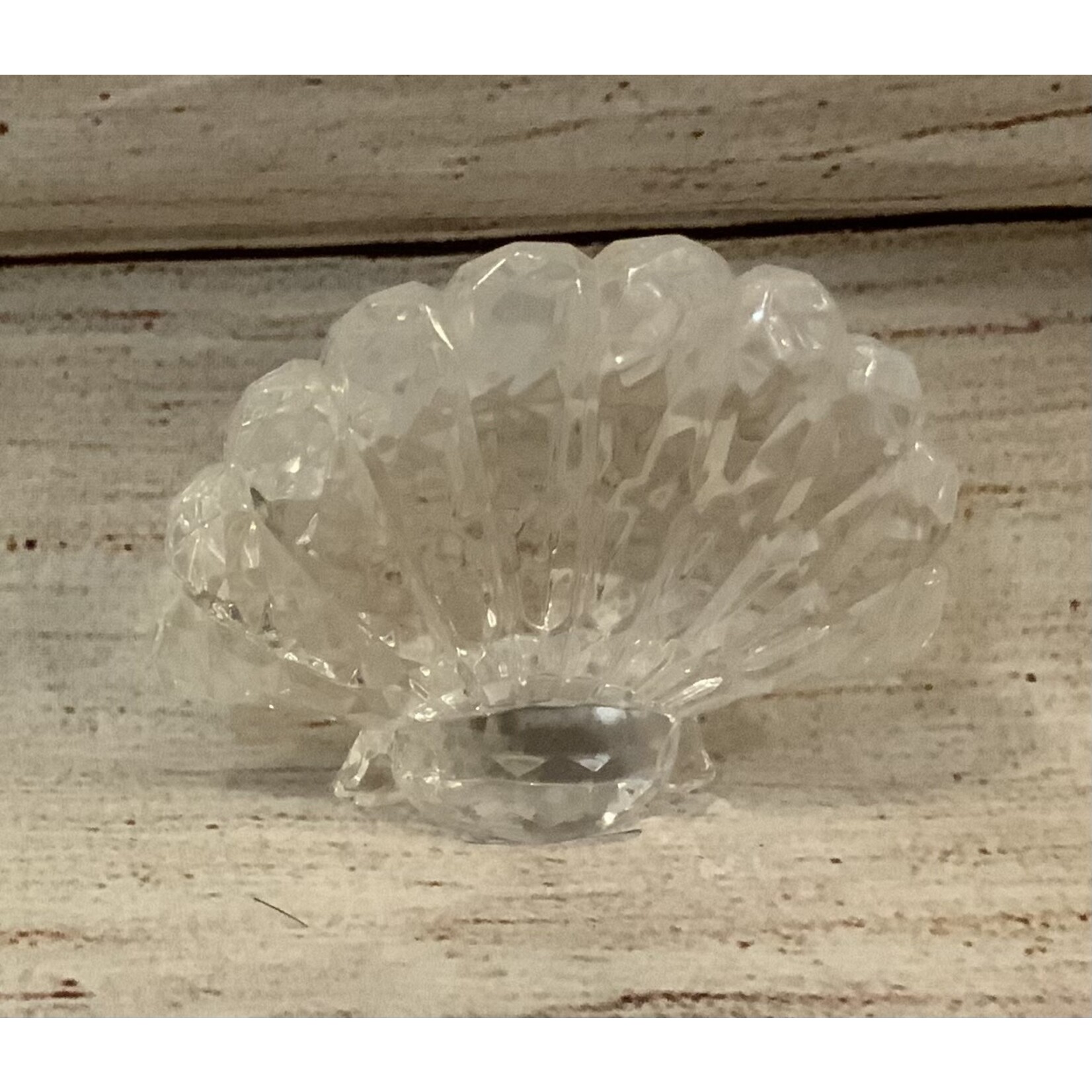 Ganz Acrylic Seashell