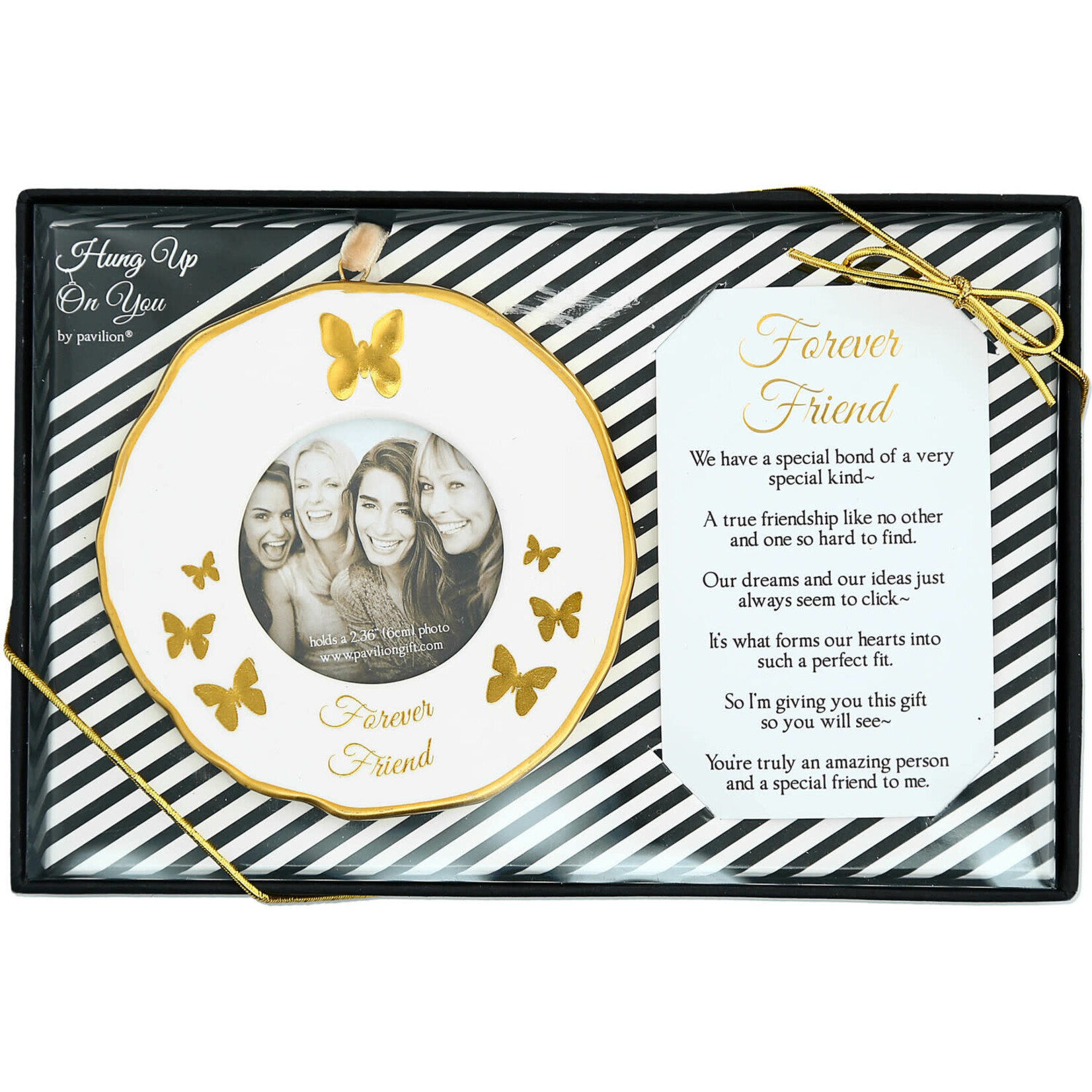 Pavilion Forever Friends Frame Ornament