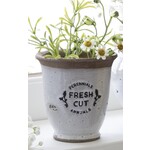 J.C. Rollie Fresh Cut Perennials Annuals Vase