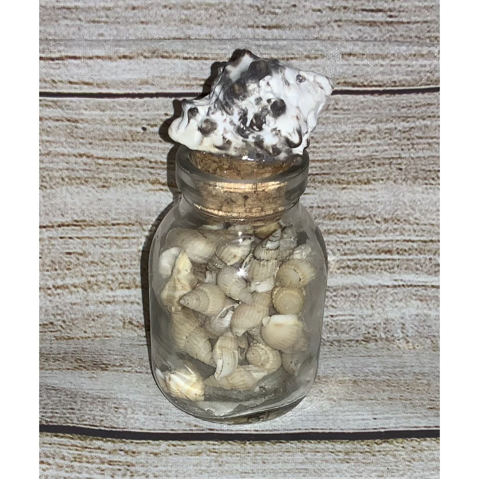 Transpac Glass Mini Shell Jar