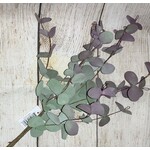 Special T Imports Eucalyptus Pick, 18”