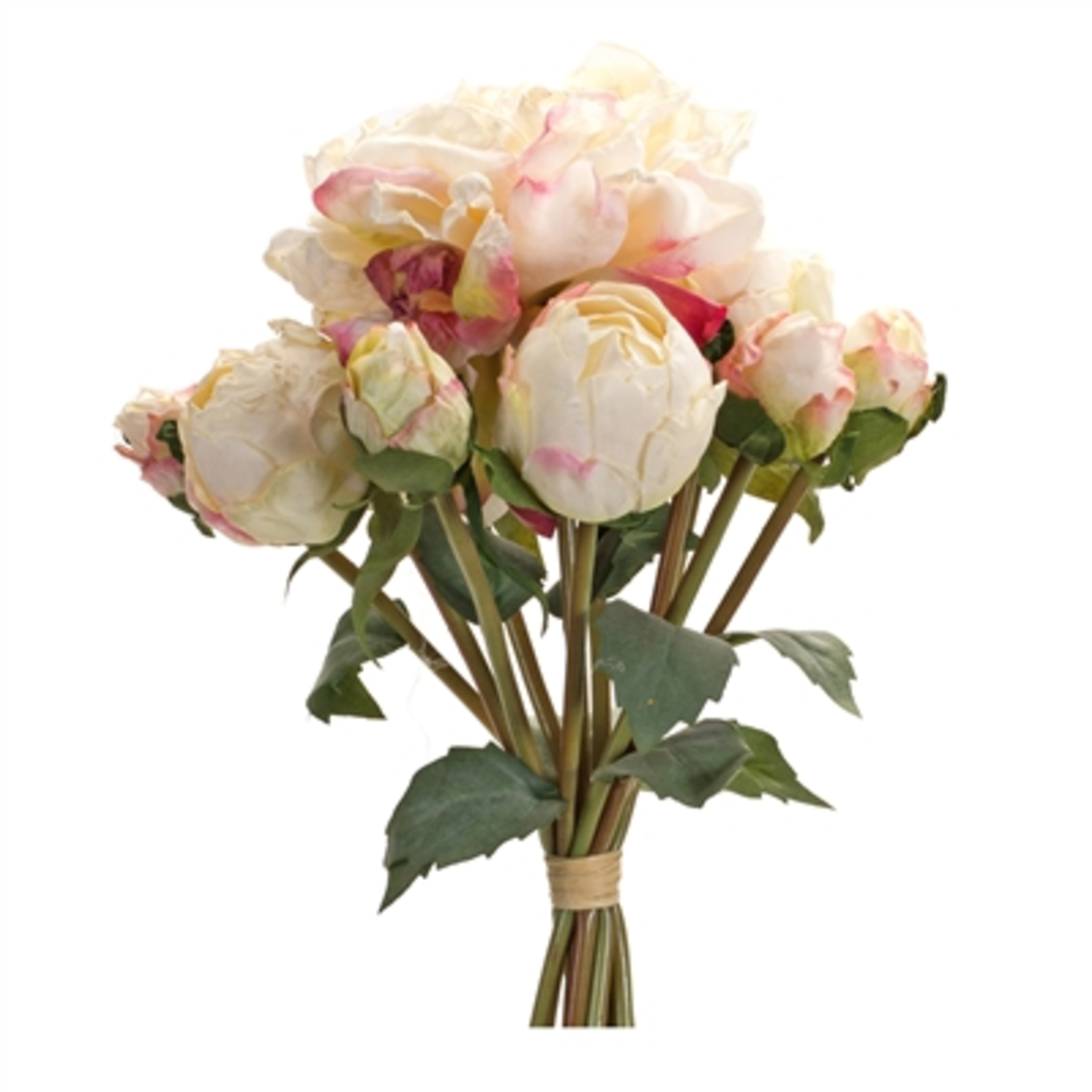 Melrose Peony 16” Bouquet