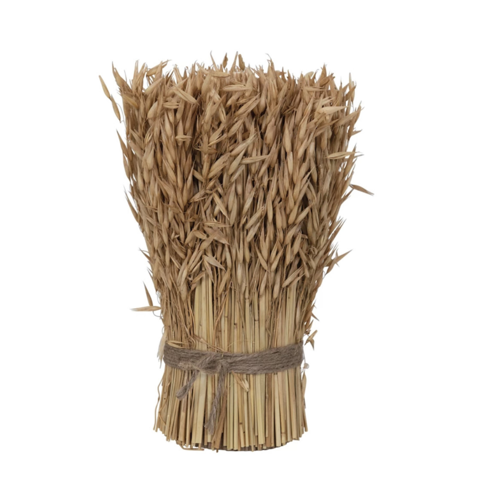 Creative Co-op Dried Natural Harvest Grass Standing Bundle