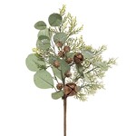 Meravic Pine & Eucalyptus Bell Pick 15”