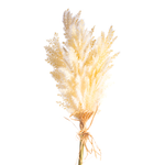 CRI Cream Pampas 21” Stem