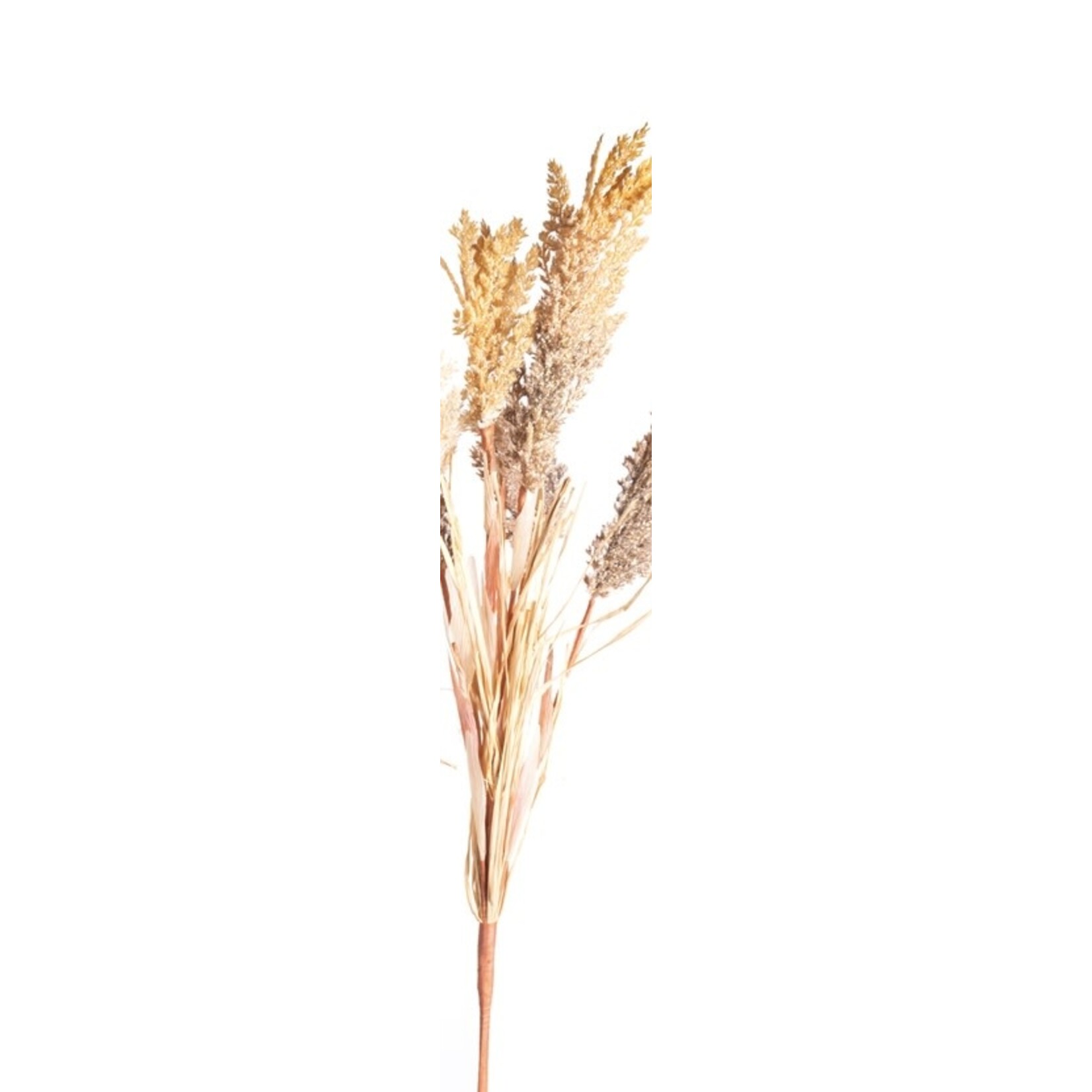 CRI Field Grass Bush 31”