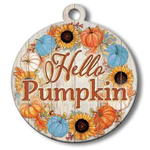 My Word! Hello Pumpkin Adoornament
