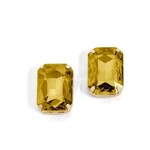 Whispers Whispers Octagon Jewel Earrings Golden WN004517