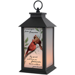 Carson A Message LED Lantern