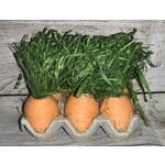 Gerson Carrots in Carton Style 2