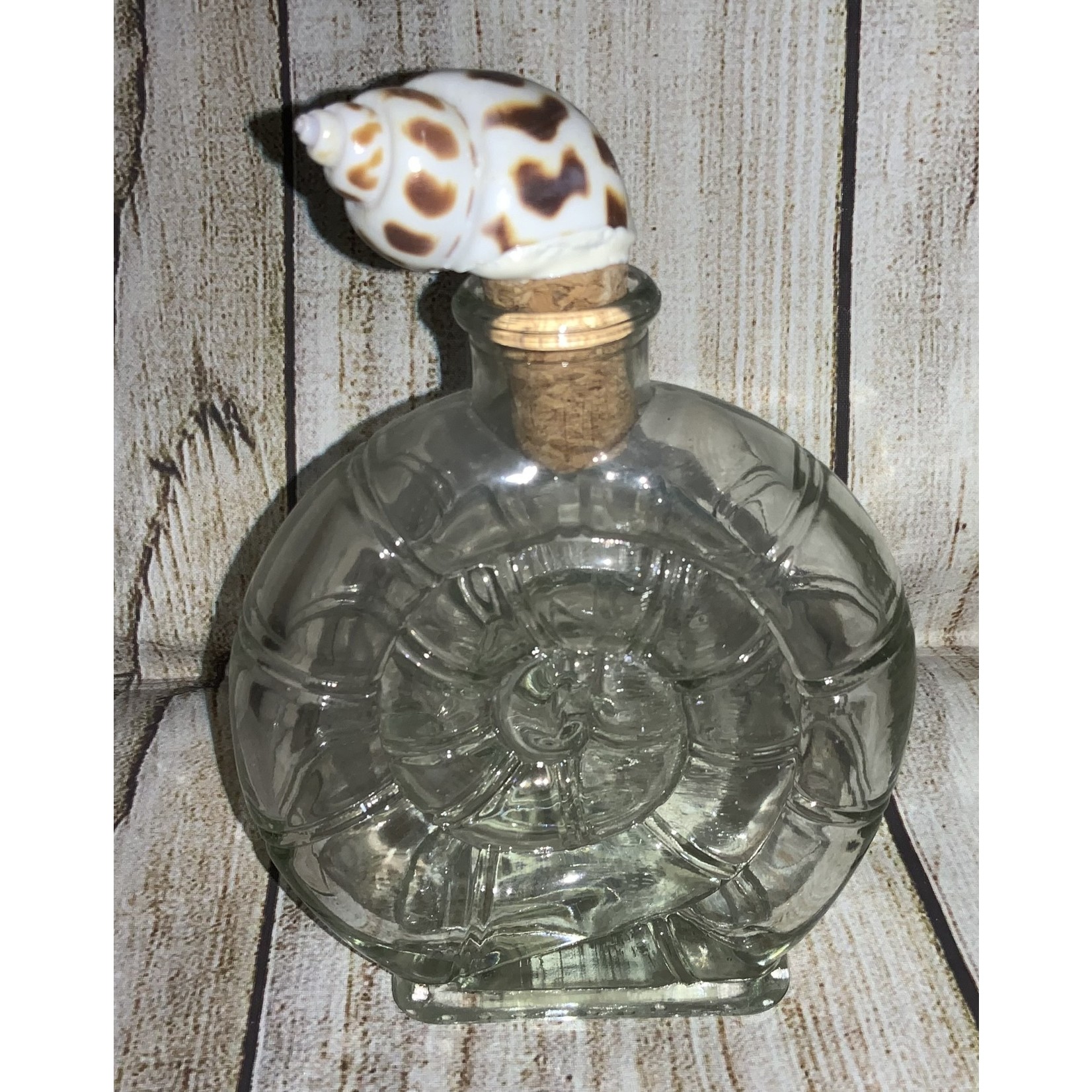 DEI Glass Seashell Jar w/Shell Topper