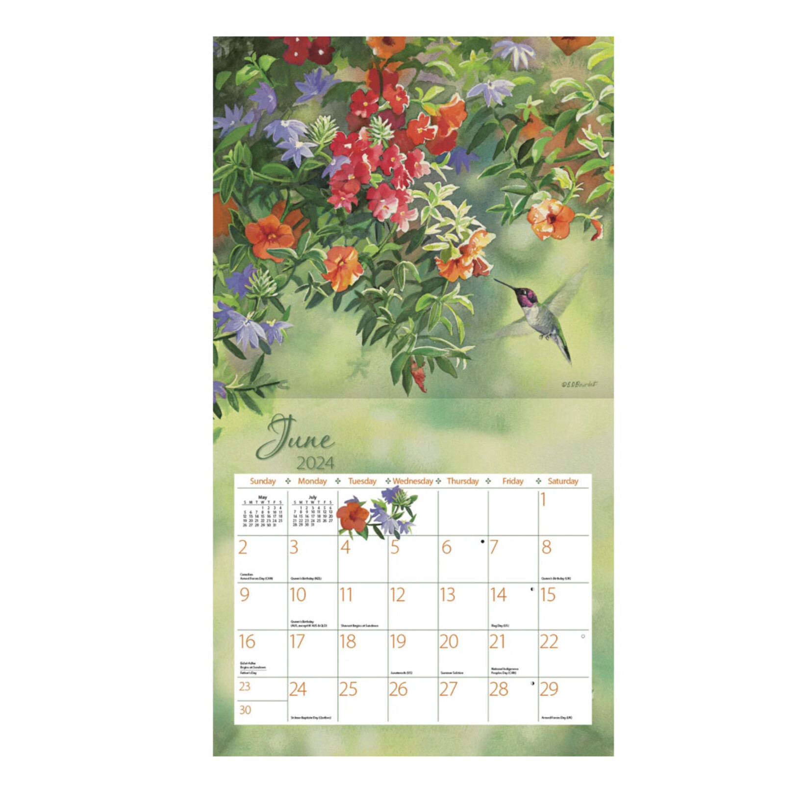 Hummingbirds Wall Calendar 2024 A Gathering Place