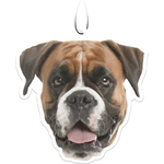 Spoontiques Boxer Air Freshener