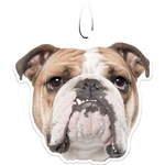 Spoontiques Bulldog Air Freshener