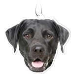 Spoontiques Black Lab Air Freshener