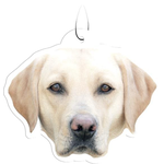 Spoontiques Yellow Lab Air Freshener