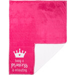 Pavilion Princess Plush Toddler Blanket