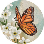 Carson Butterfly Car Coaster