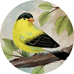 Carson Gold Finch Car Coaster