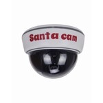 Opportunities Santa Cam Surveillance