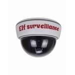 Opportunities Elf Cam Surveillance
