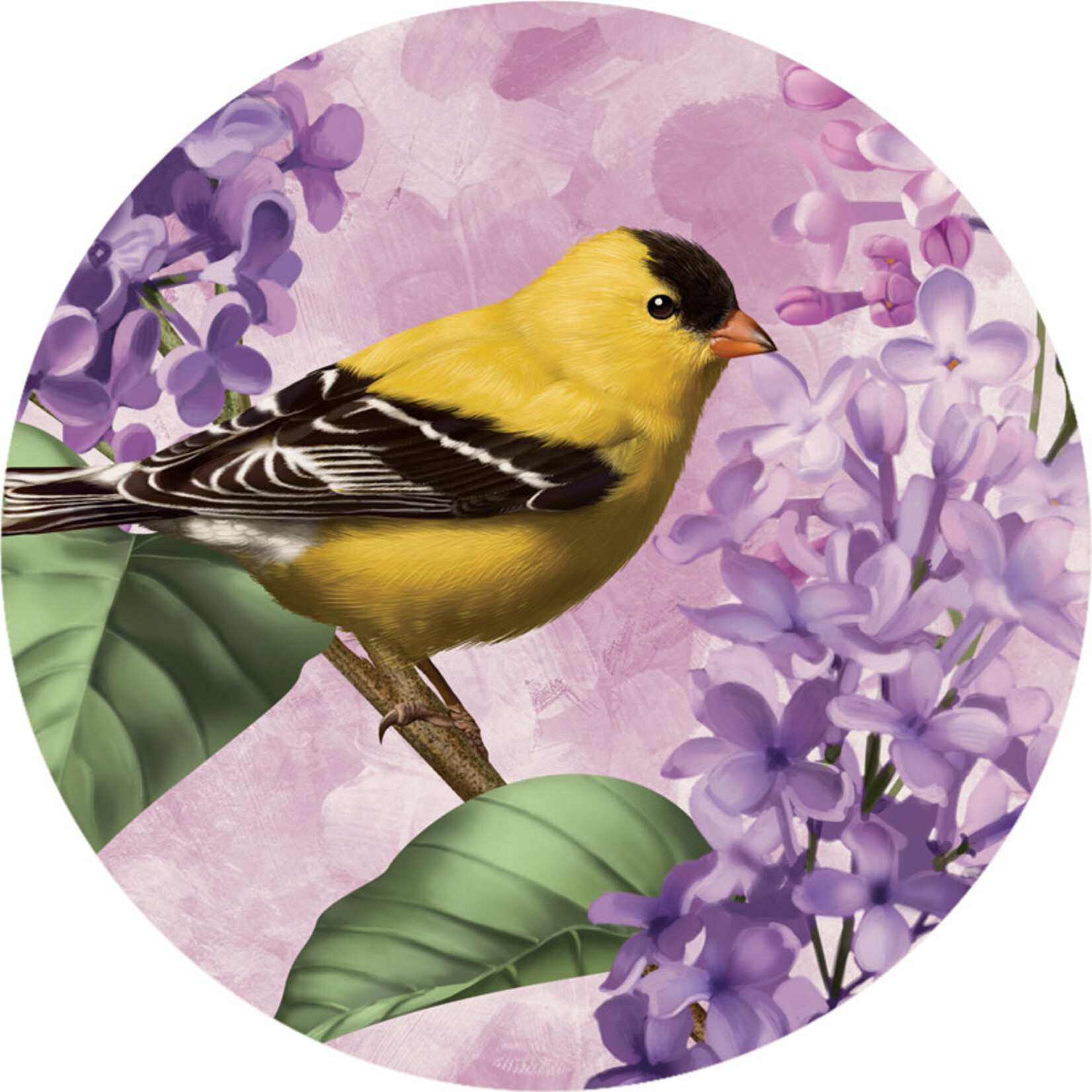 Carson Gold Finch Car Coaster 78177
