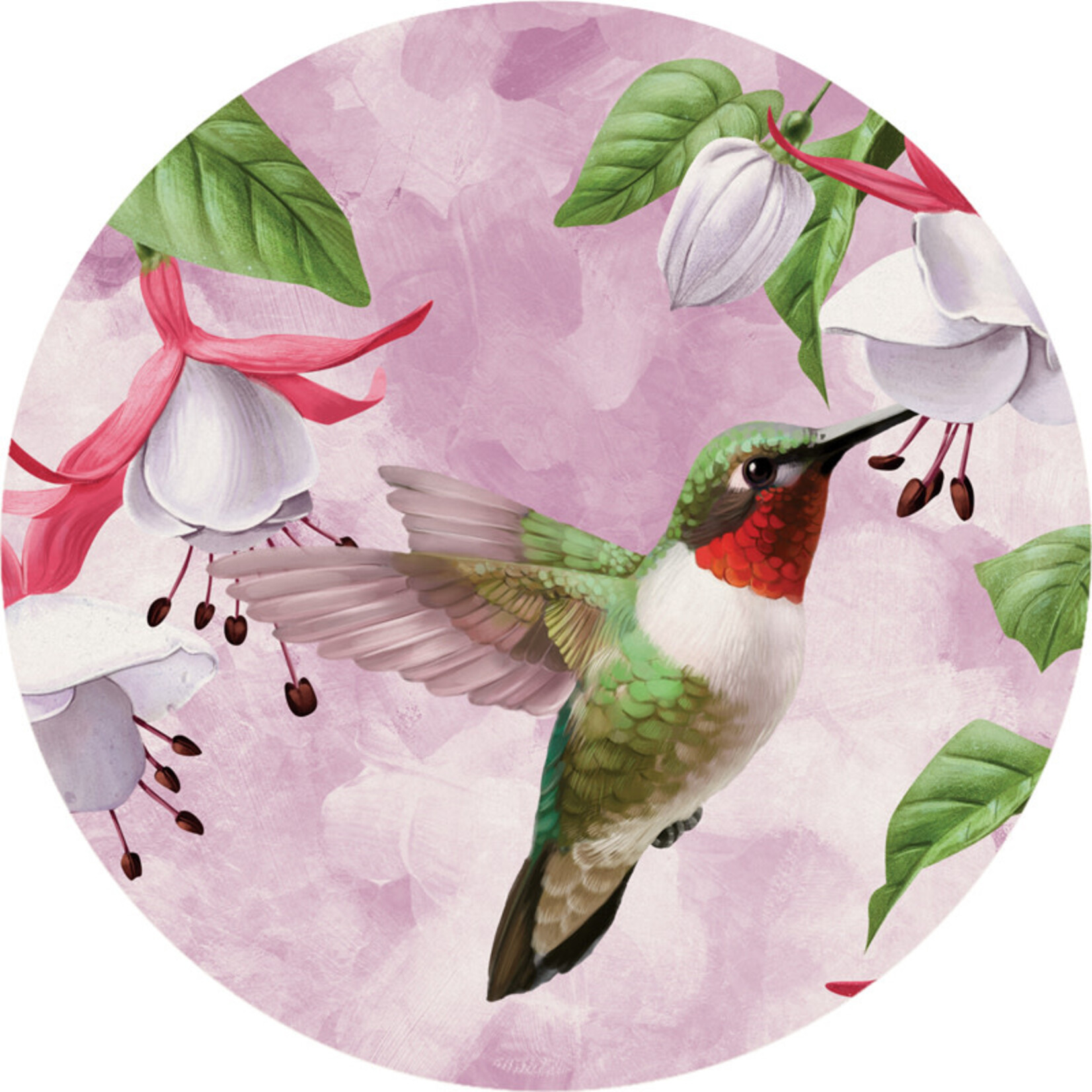 Carson Hummingbird Car Coaster 78179