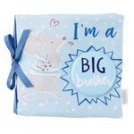 Mudpie Mudpie Big Brother Book & Pin Set