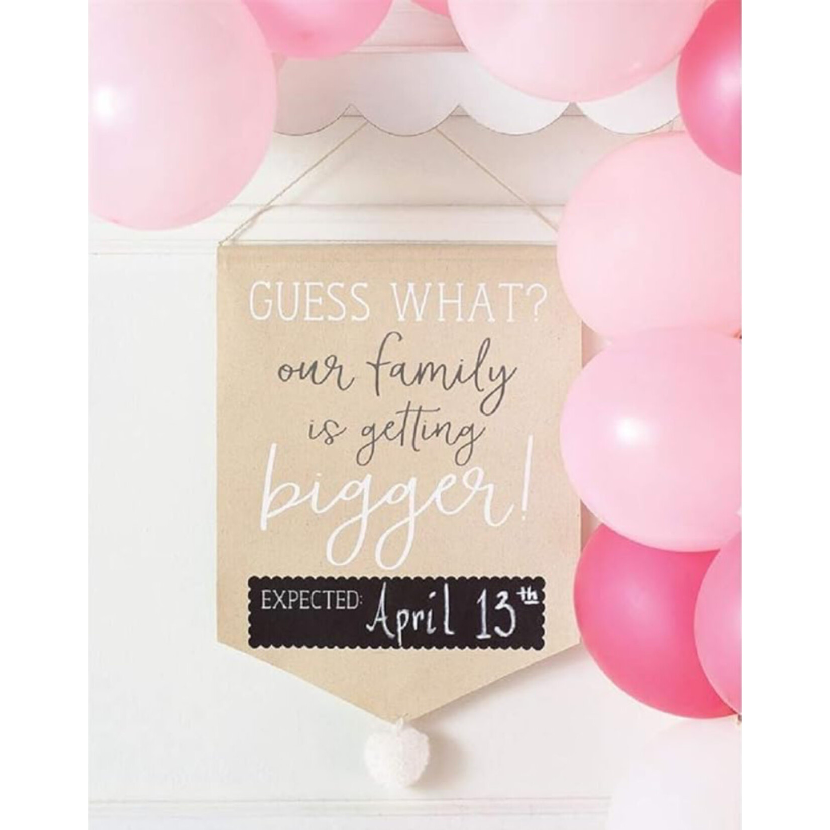 Mudpie Mudpie Pregnancy Photo Canvas Banner