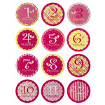 Blossoms & Buds Blossom & Buds First Year Belly Stickers Girl