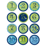 Blossoms & Buds Blossom & Buds My First Year Belly Stickers Boy