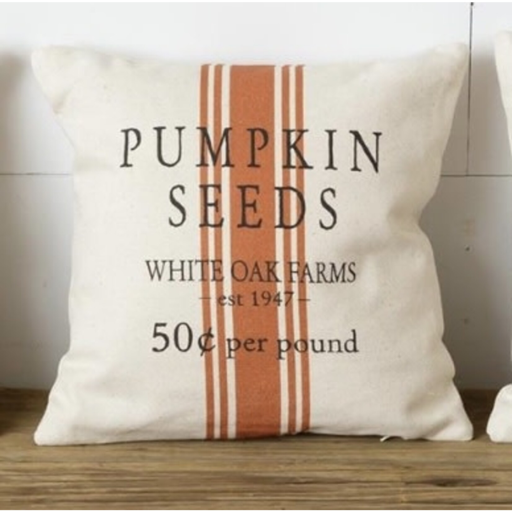 Audrey’s Pumpkin Seeds Pillow