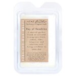 1803 1803 Ray of Sunshine Melter