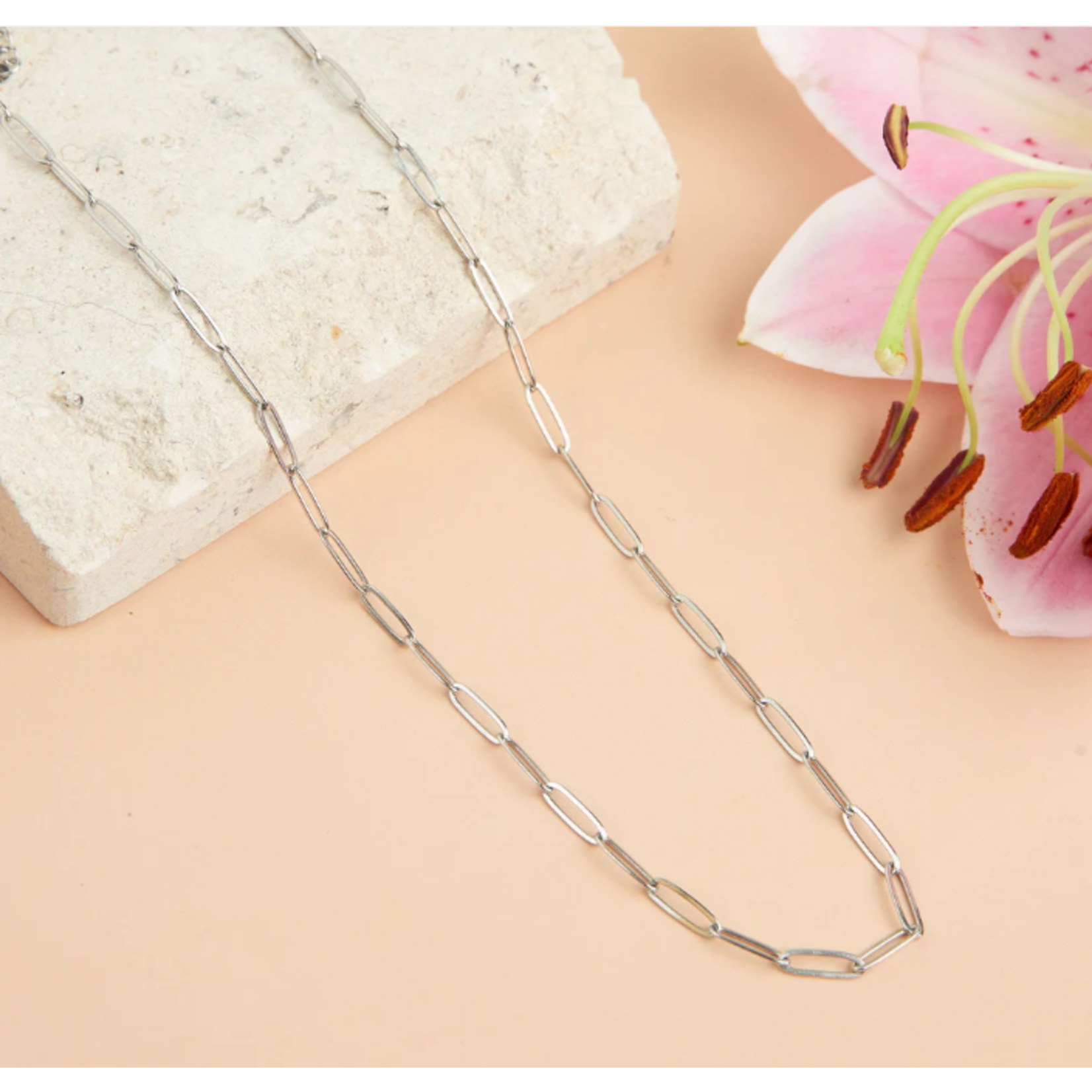 Howards Howard's Narelle Waterproof Paperclip Chain Necklace Silver